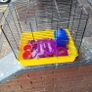 hamster cage Image 2