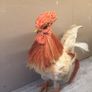 Straw Rooster / Hen. Kitchen ornament. Image 4