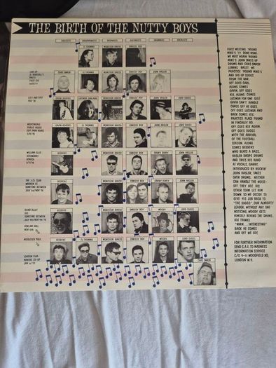 Madness,absolutely 12" vinyl album (rare 1980 Irish pressing )
