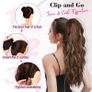 Brand New REECHO Ponytail Extension, Image 4