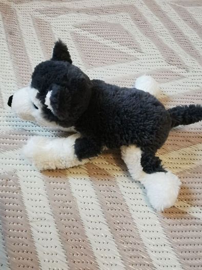 Soft toys dog x 2