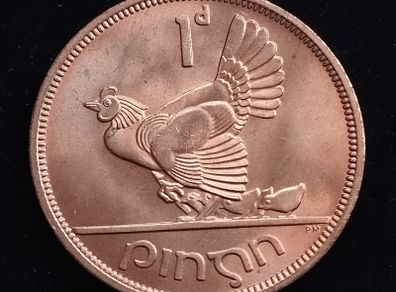 Ireland - 1968 - 1 Penny - Hen with Chicks - KM.11 - [274]