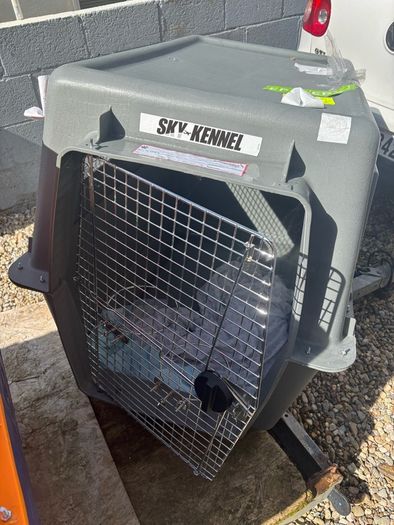 dog crate