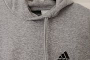 hoddie