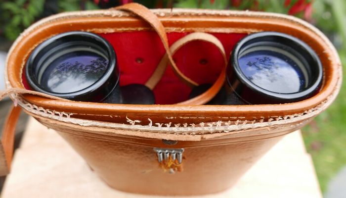 Vintage Binoculars  Field Glass Riko 10x50