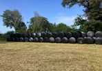 Haylage and silage