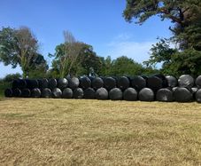 Haylage and silage