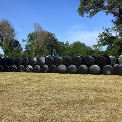 Haylage and silage