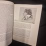 Oscar Wilde (Thames & Hudson Literary Lives) (Paperback) Image 10