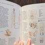 BRAND NEW The Natural Family Doctor Book Image 3