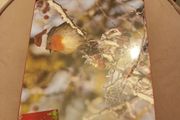 christmas place mats and coaters x 4