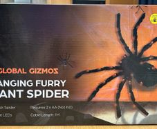 Hanging Furry giant spider