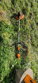 Worx Cordless Strimmer & 2 20V Batteries