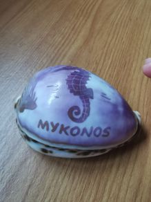 Mykonos sea shell