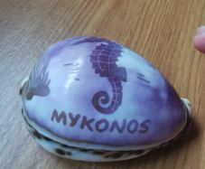 Mykonos sea shell