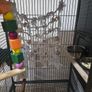 parrot cage Image 3
