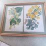 Framed double Botanical Print of  flowers still life. Image 2