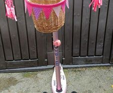 Kids Maxi Micro Deluxe LED: Pink scooter