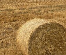 Straw