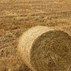 Straw