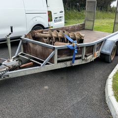 Plant trailer