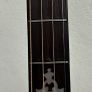 Paramount Leader Tenor banjo Image 4