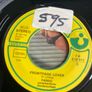 Fargo. Promo copy Tokyo picture sleeve vinyl record single in good condition Image 2
