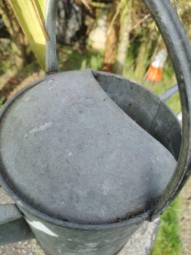 Old Galvanised Watering 2 gal. can