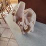 Elephant with Trunk Up Wealth Lucky Figurine Statue Sculpture Home Decor Image 9