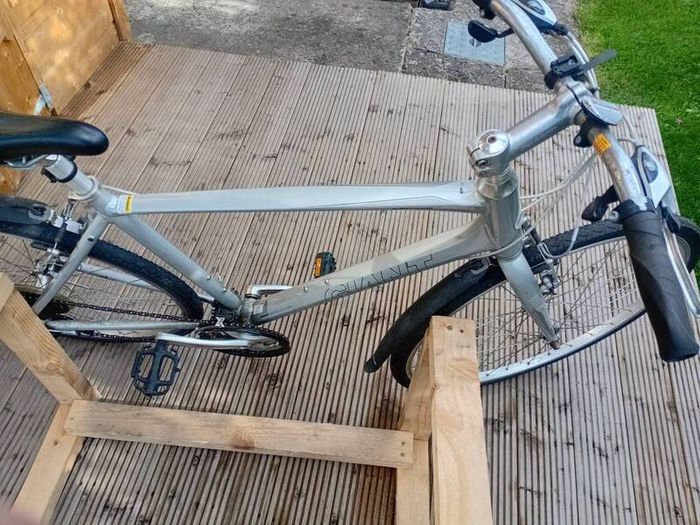 adults bike