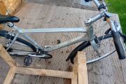 adults bike