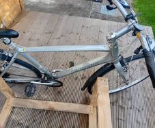 adults bike