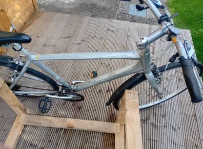 adults bike
