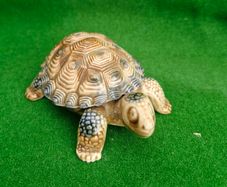 Original WADE Whimsy Tortoise trinket box