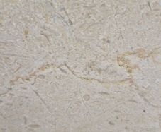 Beautiful cream solid stone slab