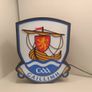 Galway GAA Lightbox Image 4