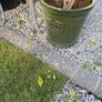 Two Outdoor Green Pots Image 4