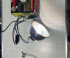 Aquarium & Supplies