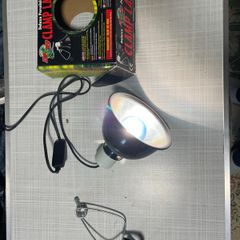 Aquarium & Supplies
