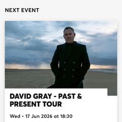 David gray X2 tickets fair view park FRONT standing