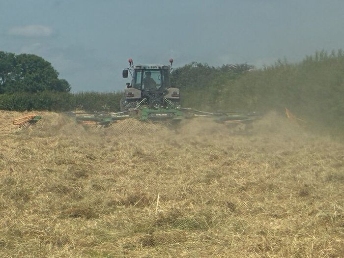 Hay for sale Tipperary Thurles/Templemore area
