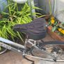 Carrera crossfire one 28 inch wheels 21 speed 20.5 inch frame Image 7