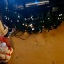 Fibre  Optic  Christmas  Garland Image 4