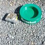 heineken plastic ashtray, hard to come by,,few little marks underneath, overall nice condition, see pictures for condition, sold as seen ,price includes post, or if buyers collect, cheaper. Image 3