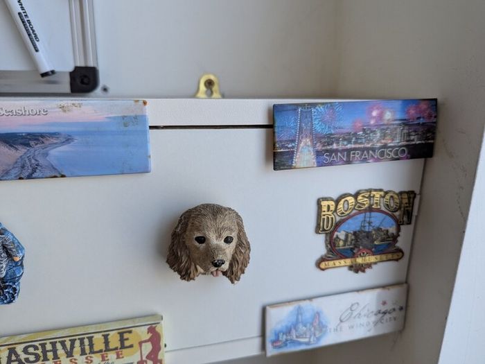 Huge Selection of Fridge Magnets