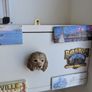 Huge Selection of Fridge Magnets Image 4