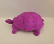 turtle eraser