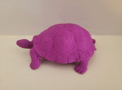 turtle eraser