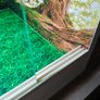 Vivarium/Terrarium Image 7