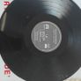 The Guttersnipes, Hairy on the Inside LP, Punk, Oi Image 5
